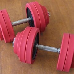 ♪LEADING EDGE/リーディングエッジ ダンベル 30kg×2 札幌♪