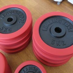 ♪LEADING EDGE/リーディングエッジ ダンベル 30kg×2 札幌♪