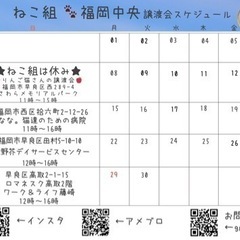 4/21  ねこ組🐾福岡中央譲渡会　第2野芥デイサービスセンター - 福岡市