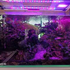 17000円にさらに値下げ水槽LEDライト