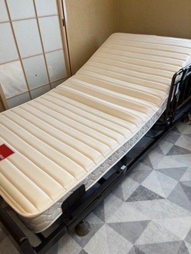 2023年購入品 FranceBeDフランスベッド レステックス02f EY-01F スリー 
