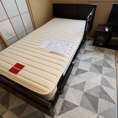 2023年購入品 FranceBeDフランスベッド レステックス02f EY-01F スリー 