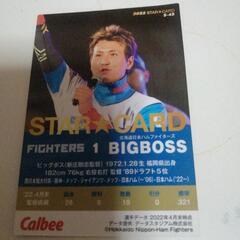 プロ野球日本ハムビックボスBIGBOSSスターカード