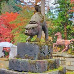 神社行きませんか