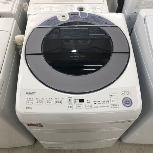 安心の1年保証付！！SHARP 全自動洗濯機　8.0kg【トレファク堺福田店】