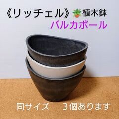【成立終了】リッチェル ボタニー バルカボール 植木鉢🪴ダークグ...
