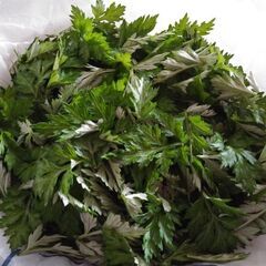 【新品 もちつき機】餅 赤飯 味噌 うどん パン