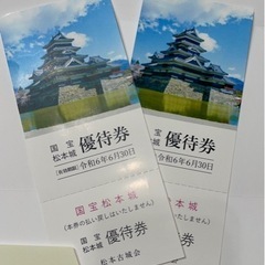 【ネット決済・配送可】松本城　入場券　ペアチケット