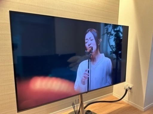 本日12:00まで  LG TV 65型