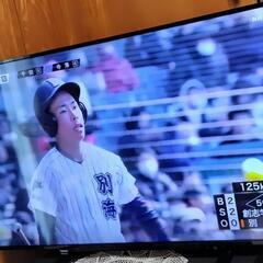 東芝　液晶テレビ　50インチ　50S10　