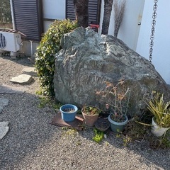庭石、大きな石