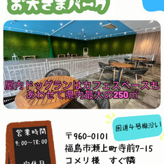 【さゆり工務店】住宅塗装、リフォーム工事たまわります。従業員も募集中！ - リフォーム