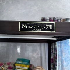  小型 全面ガラス温室 4段。ガラス温室小型コンセントタップ上下付き。