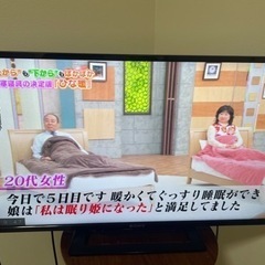 家電 テレビ 液晶テレビ