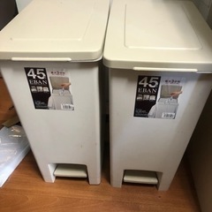 ゴミ箱　EBAN ペダルベール45L 2個セット