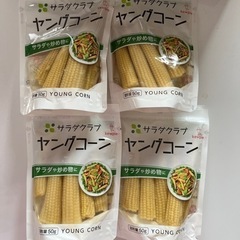 食品　ヤングコーン