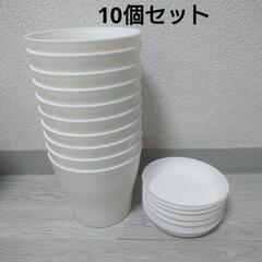 生活雑貨 食器 プレート