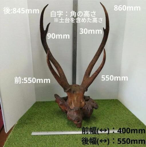 家具 インテリア雑貨/小物 置物、オブジェ