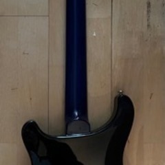 PRS SE standard 24 状態 c