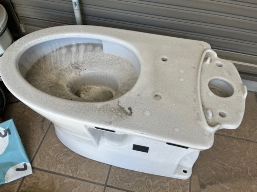 トイレ　便器