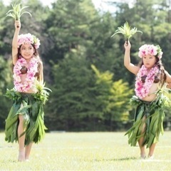 体験無料　キッズ新規生徒募集✨タヒチアンダンスの画像