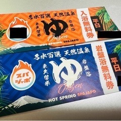 【ネット決済・配送可】【値下げ】スパジアム ジャポン｜チケット