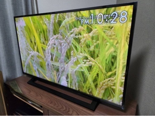 （決まりました）家電 テレビ 液晶テレビ