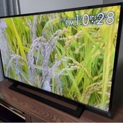 家電 テレビ 液晶テレビ