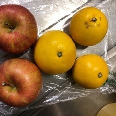 グレープフルーツとりんご