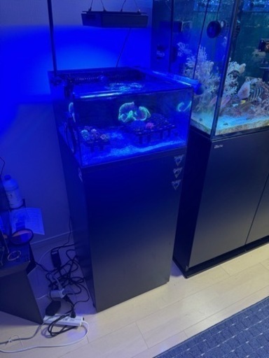 フラグタンク 1式