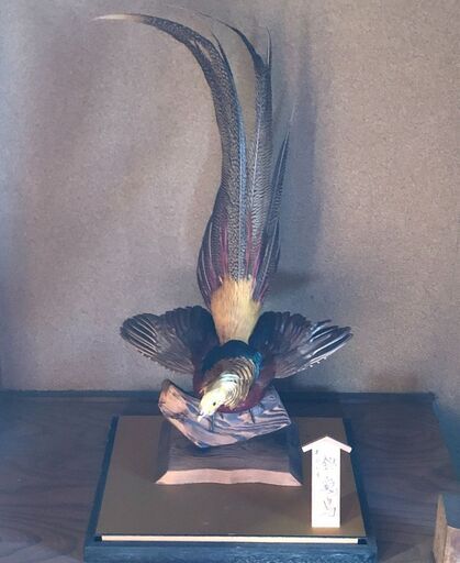 上里町 錦鶏鳥 剥製 キンケイ キジ はく製 置物 ガラスケース付き ☆