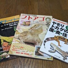 爬虫類雑誌3点