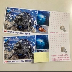2024.3.31まで。新江ノ島水族館招待券２枚