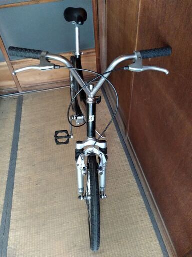 ５００台限定車　ブリヂストン　TRANSIT　カーボンフレーム　シャフトドライブ 500台限定車 ブリヂストン TRANSIT カーボンフレーム シャフトドライブ