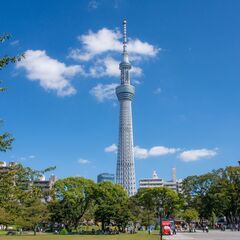 【5月6月開催】スカイツリーをバックに緑あふれる公園で路上ライブ（音楽、ダンス、漫才）してみませんか。 - コンサート/ショー