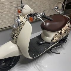 HONDA　クレアスクーピー　限定車