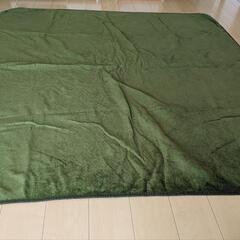 【お取引決定】NITORI　ニトリ　カーペット　ラグ　絨毯