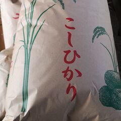 農家のお米 令和4年度 コシヒカリ玄米30kg ①