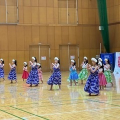 🌺横浜のフラダンスサークル　フラ レイ マイカイ🌺