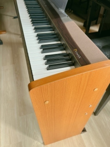 鍵盤楽器、ピアノ CASIO px-100