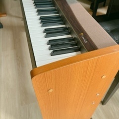 CASIO px-100 