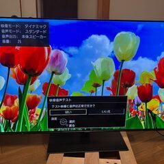 パナソニック TH-55FZ950 有機ELテレビ 55型 20...