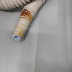 🌈Panasonic 6kg洗濯機 bigwavewash 2020年製