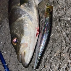 釣竿、釣具ルアー　譲ってください。