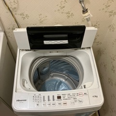 家電 生活家電 Hisense全自動電気洗濯機