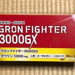 グロンファイター3000GX　10本入