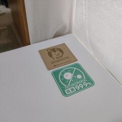 popomi ポポミ 抗菌プレイマット CLEAN 140×200cm シームレス