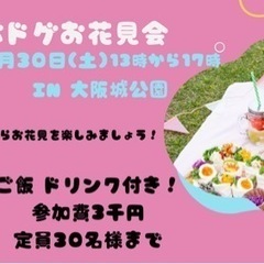 【現在参加者25名様】お花見＋初心者ボードゲーム交流会　大阪城公園