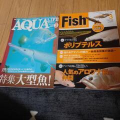 熱帯魚 アクアリウム FISH 大型魚雑誌