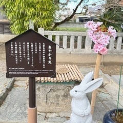 🍀開運　御朱印巡りの旅🍀 - チャット